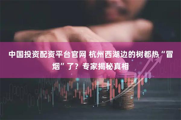 中国投资配资平台官网 杭州西湖边的树都热“冒烟”了？专家揭秘真相