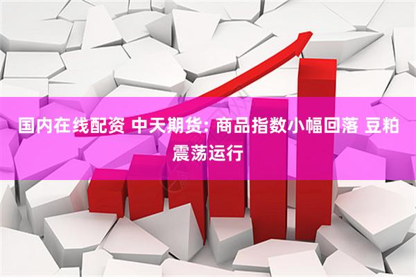 国内在线配资 中天期货: 商品指数小幅回落 豆粕震荡运行