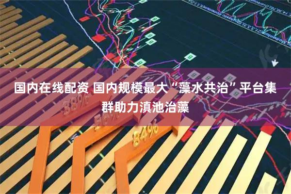 国内在线配资 国内规模最大“藻水共治”平台集群助力滇池治藻