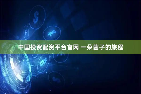 中国投资配资平台官网 一朵菌子的旅程