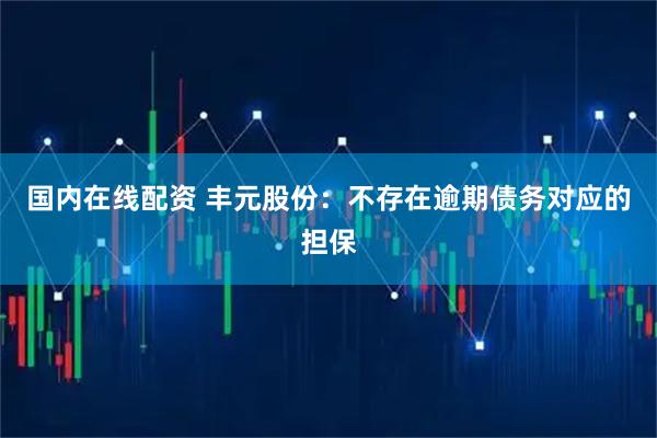 国内在线配资 丰元股份：不存在逾期债务对应的担保
